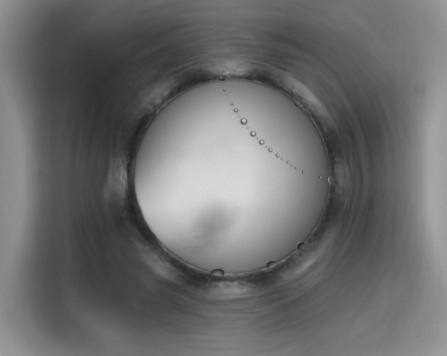 X0000115670541200911191027