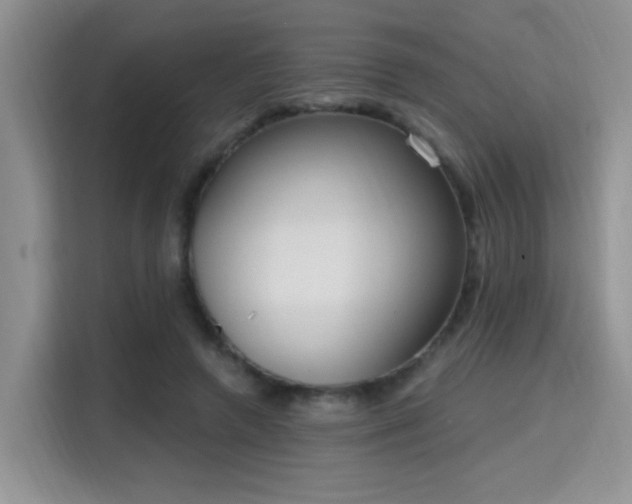 X0000115670546200911191027