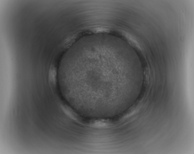 X0000115670550200911191027