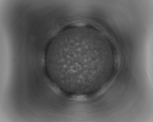 X0000115670553200911191027