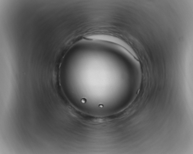 X0000115670558200911191027