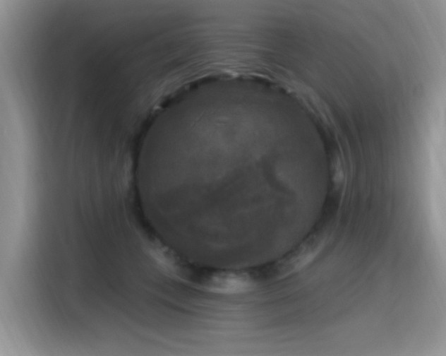 X0000115670559200911191027