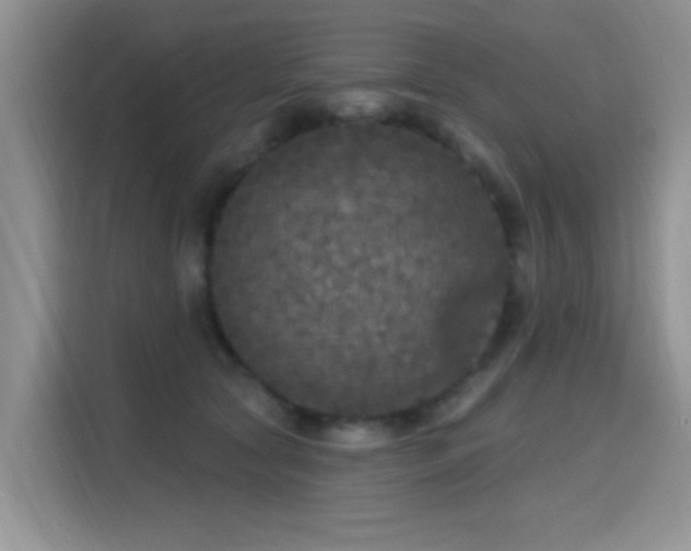 X0000115670561200911191028