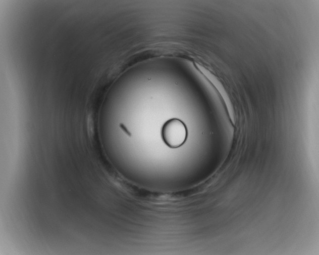 X0000115670562200911191028