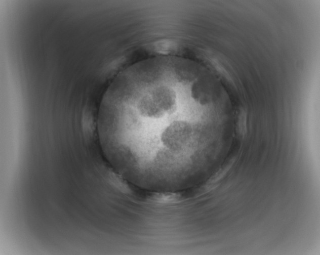 X0000115670569200911191028