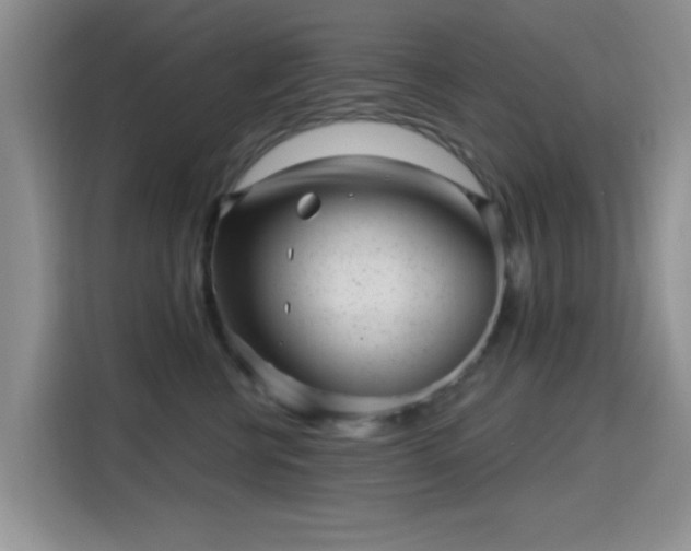 X0000115670570200911191028