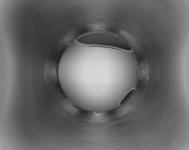 X0000115670573200911191028