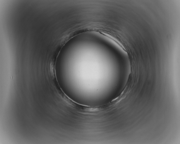 X0000115670575200911191028