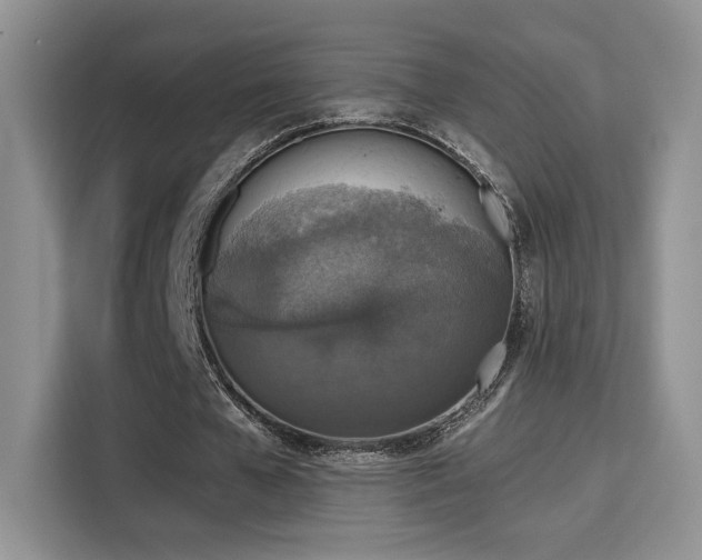 X0000115670577200911191027