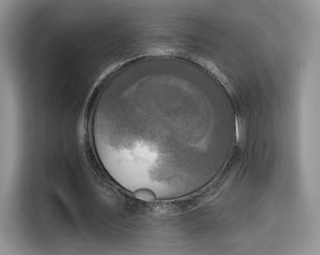 X0000115670579200911191027