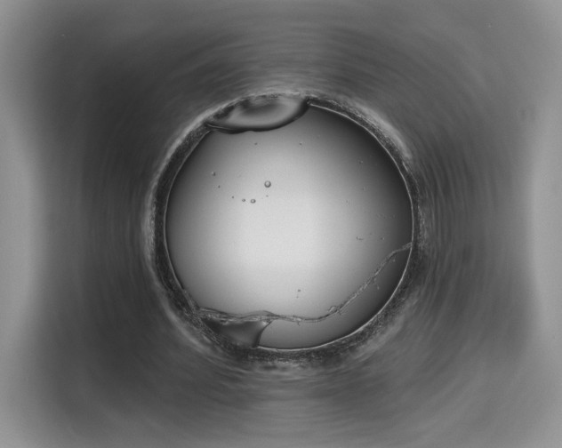 X0000115670580200911191027