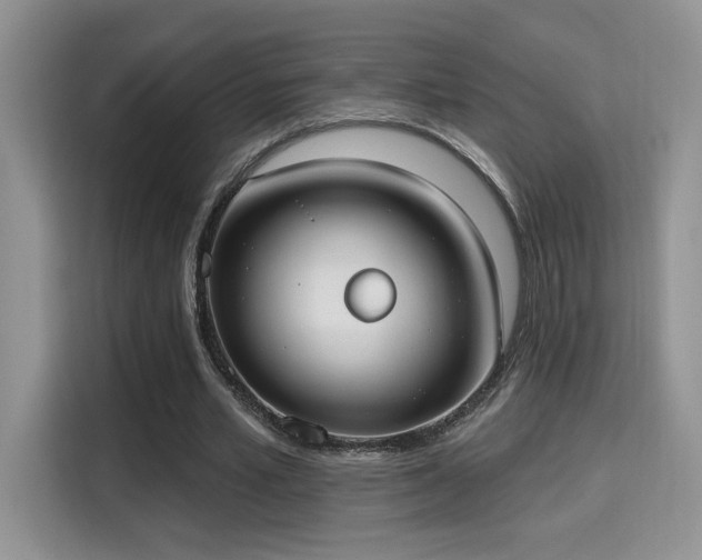 X0000115670581200911191027
