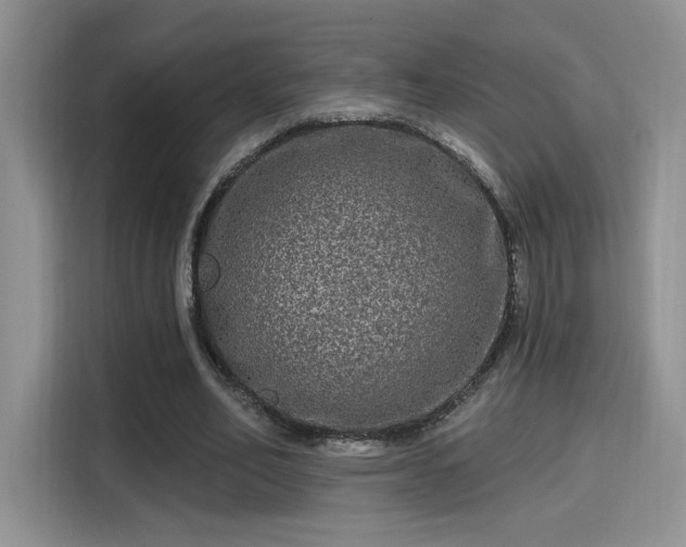 X0000115670582200911191027