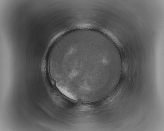 X0000115670583200911191027
