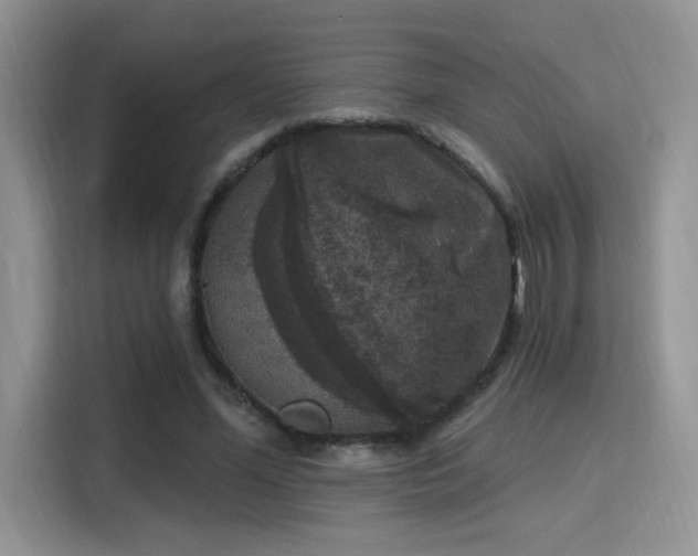 X0000115670588200911191027