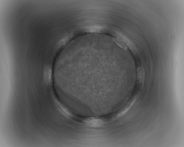 X0000115670589200911191027