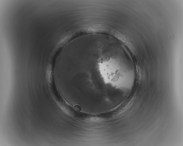 X0000115670590200911191027