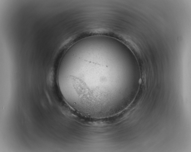 X0000115670591200911191027