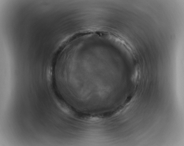 X0000115670592200911191027