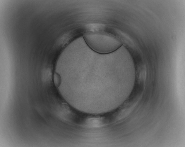 X0000115670595200911191027