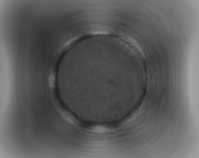 X0000115670596200911191027
