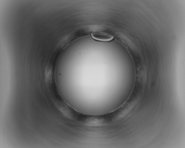 X0000115670597200911191027
