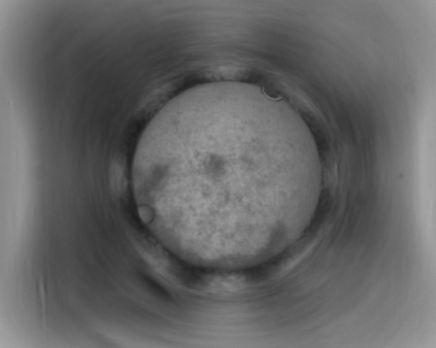 X0000115670599200911191027
