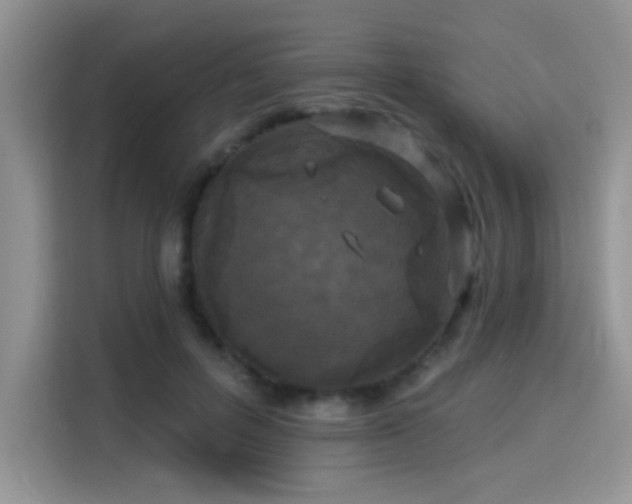 X0000115670600200911191027