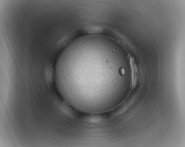 X0000115670604200911191027