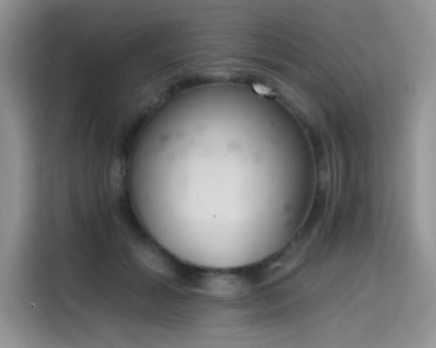 X0000115670605200911191027