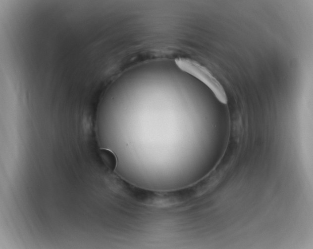 X0000115670608200911191027