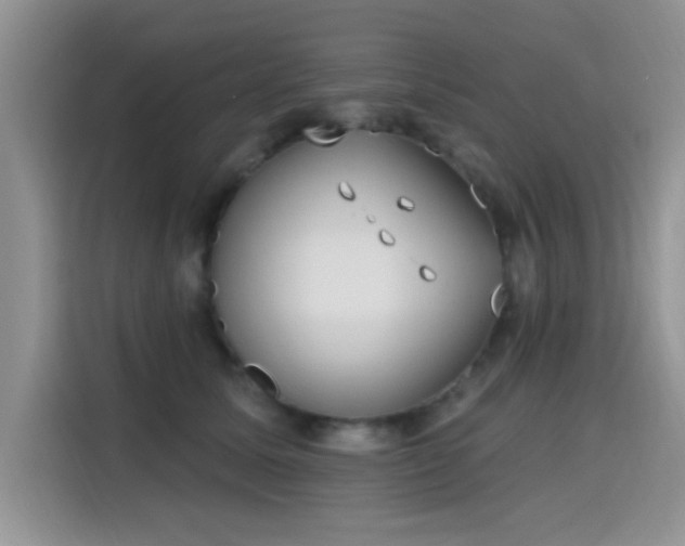 X0000115670611200911191027