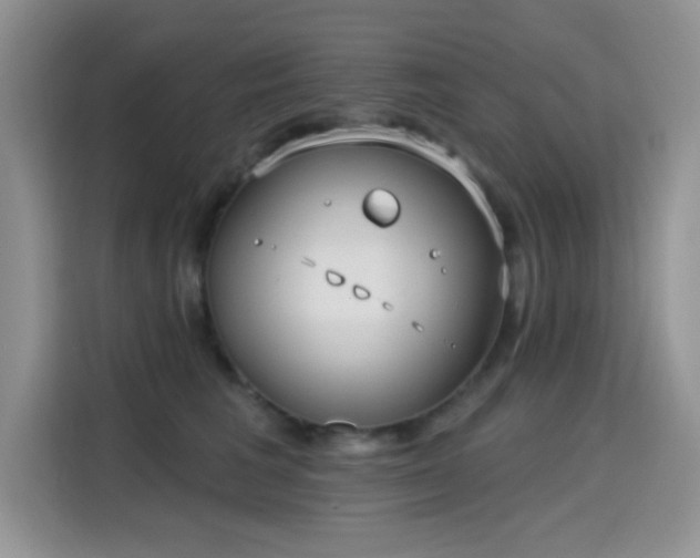 X0000115670613200911191027