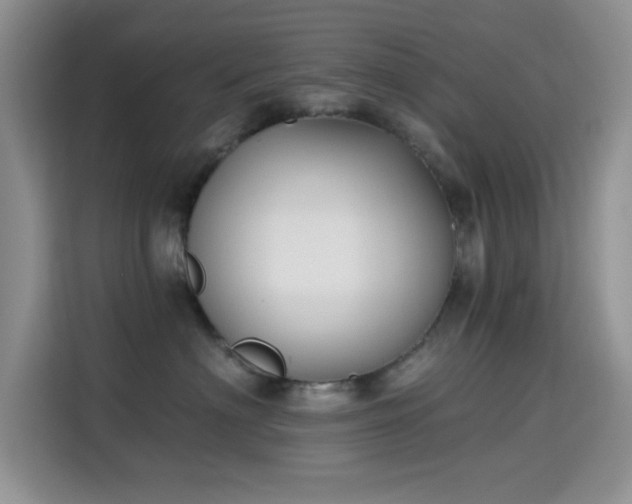 X0000115670622200911191026