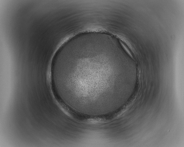 X0000115670630200911191026