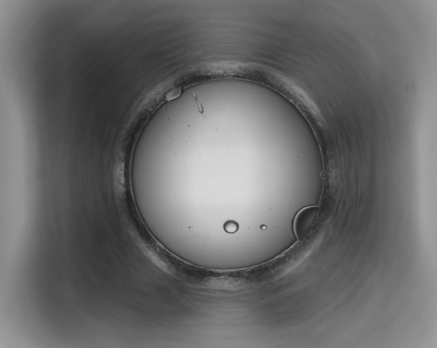 X0000115670633200911191026