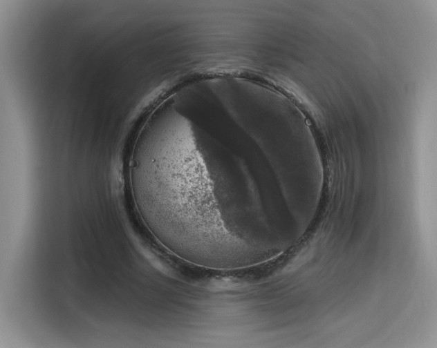 X0000115670634200911191026