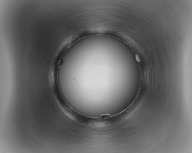 X0000115670638200911191026