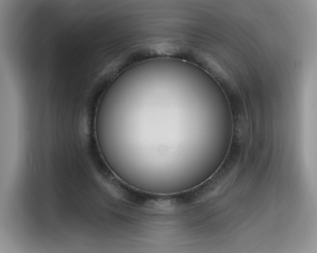 X0000115670639200911191026