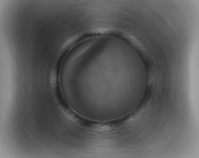 X0000115670640200911191026