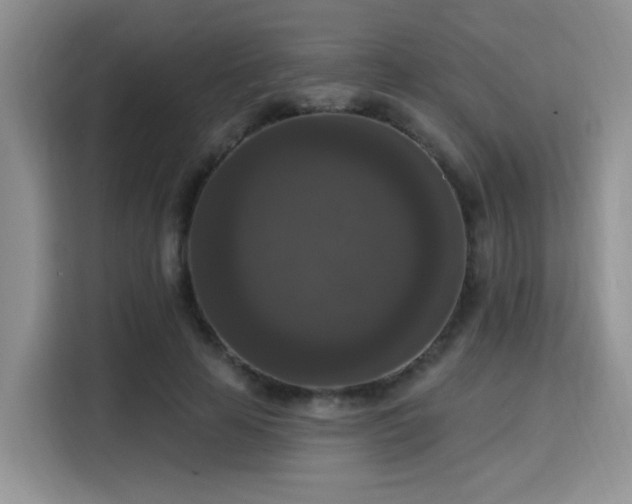 X0000115670641200911191026