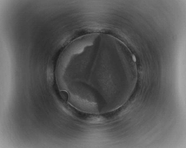 X0000115670642200911191026