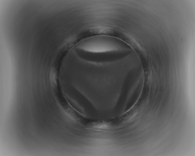 X0000115670643200911191026