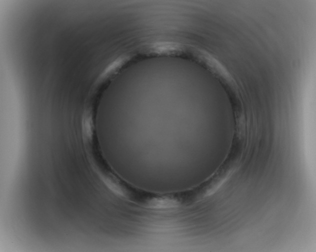 X0000115670644200911191026