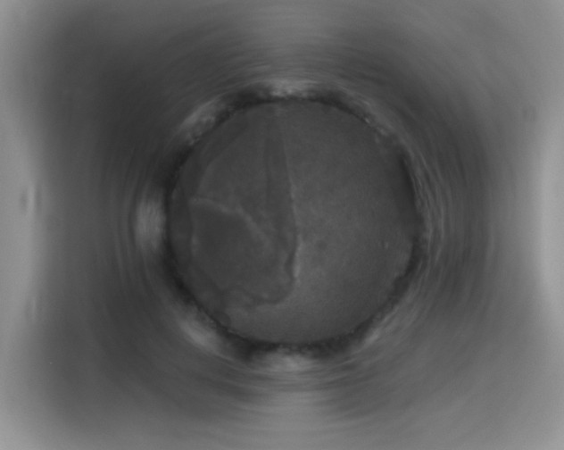 X0000115670648200911191026