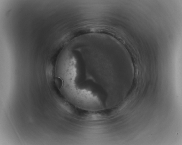 X0000115670650200911191026