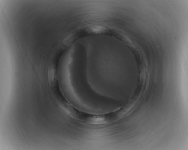 X0000115670651200911191026