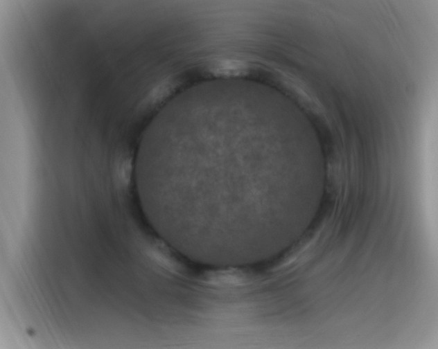 X0000115670652200911191026