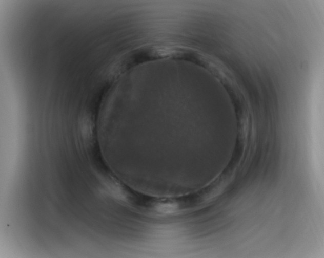 X0000115670653200911191026