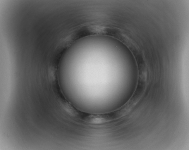 X0000115670658200911191026